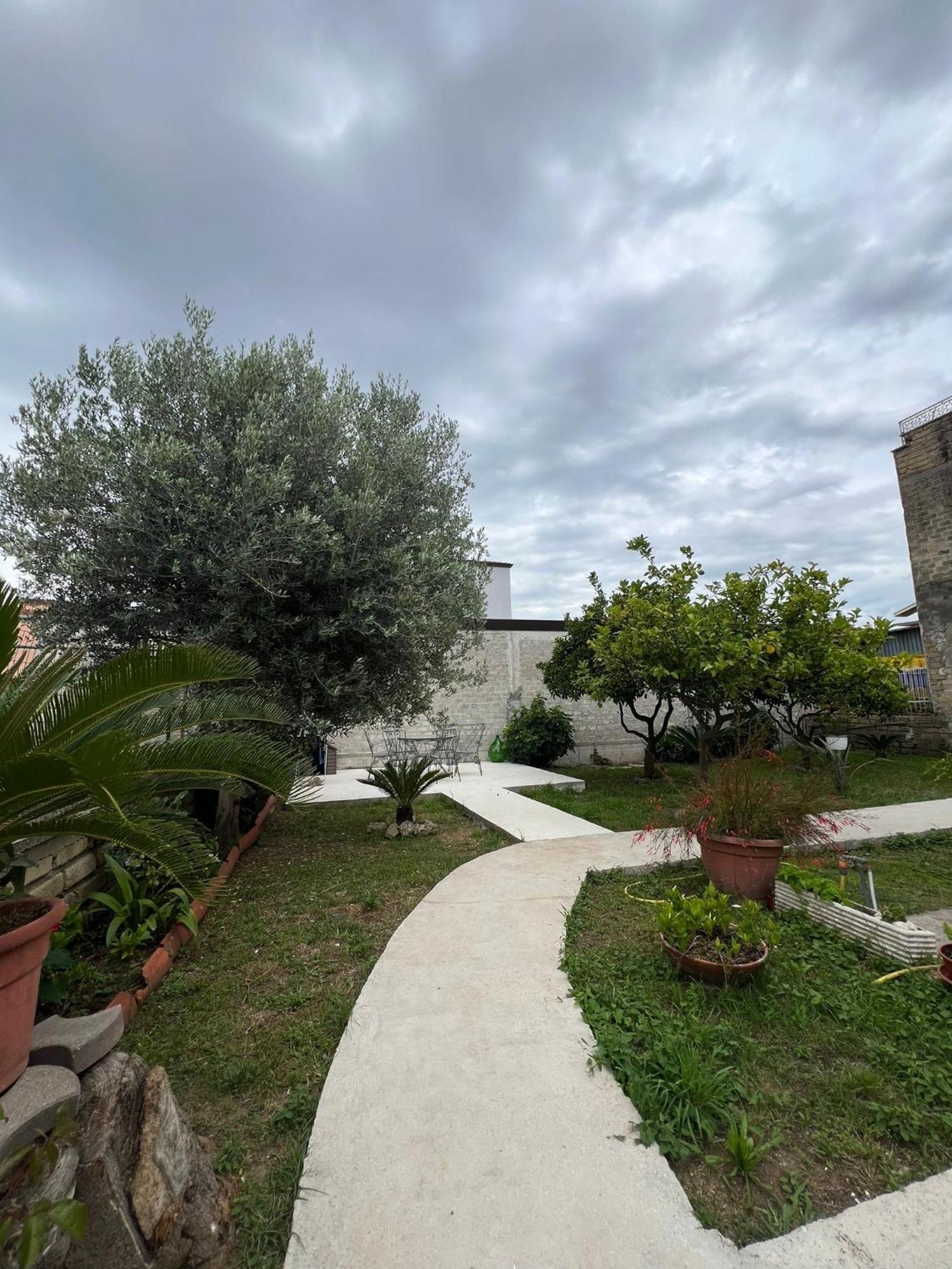 Cycas Βίλα Cellole Εξωτερικό φωτογραφία